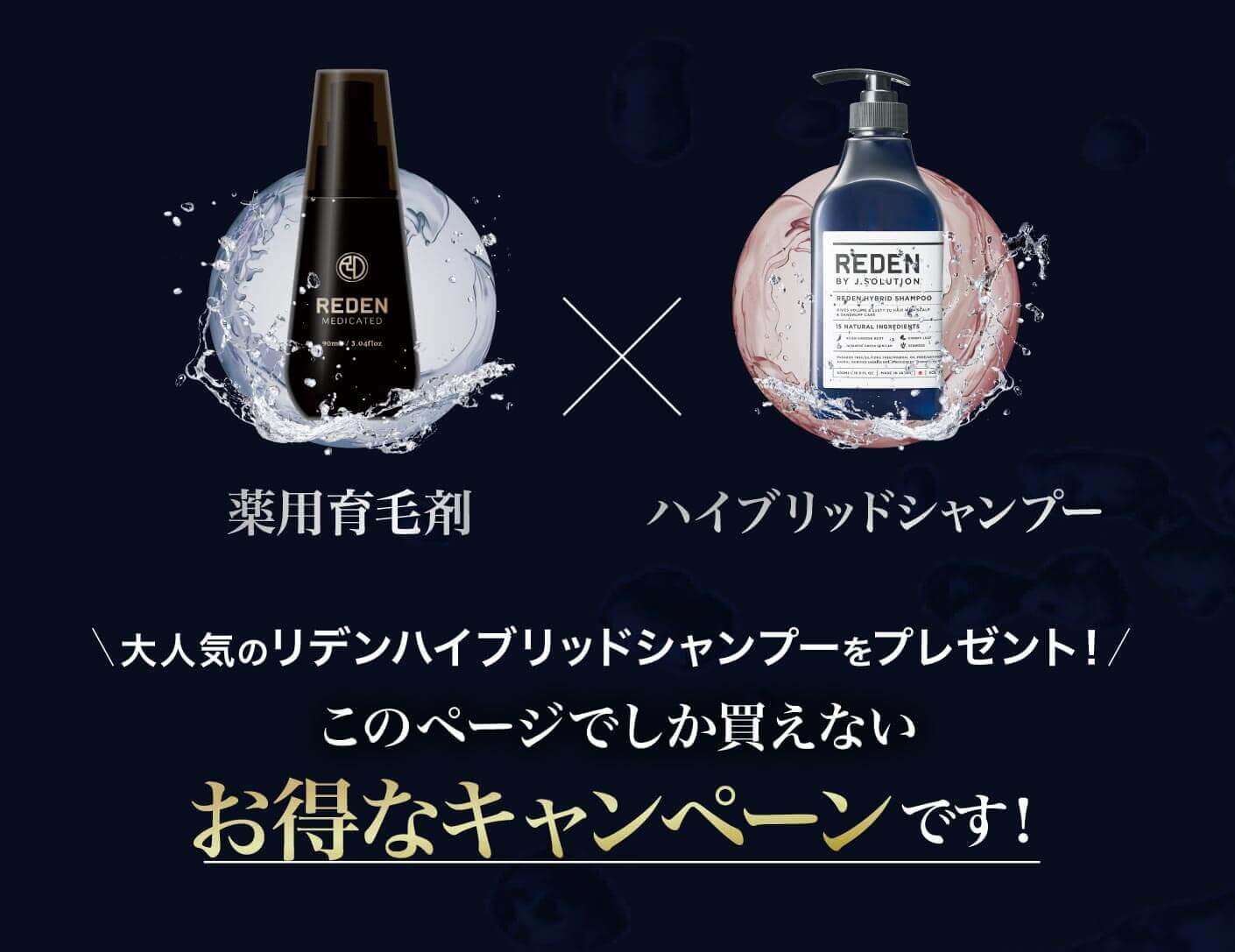 永久返金保証付き